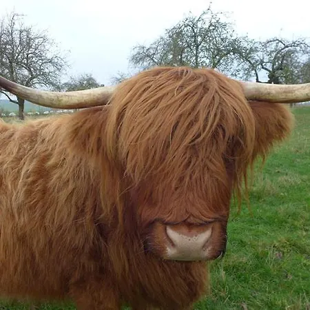 Hof Georgenhoehe * 뤼헨